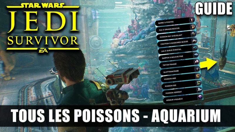 Star Wars Jedi Survivor : Tous les POISSONS de l'AQUARIUM (Emplacement) GUIDE - Plongée Fructueuse 🏆