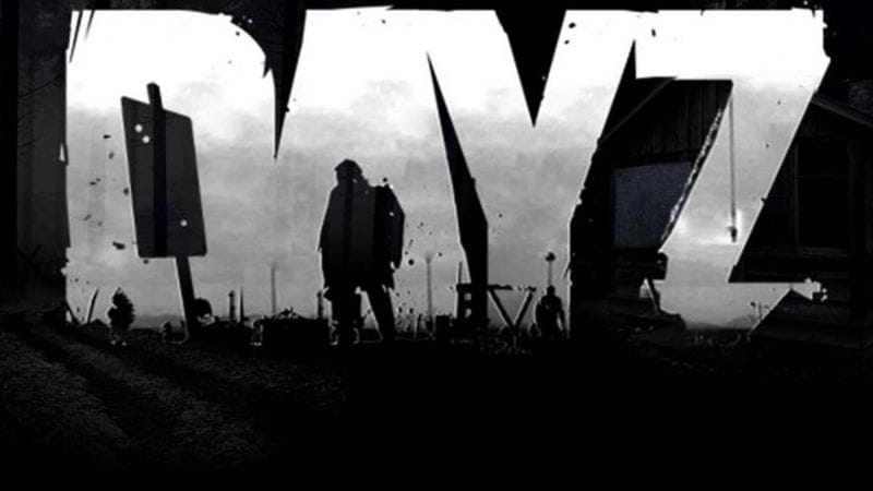 Mon Avis sur le jeu DayZ