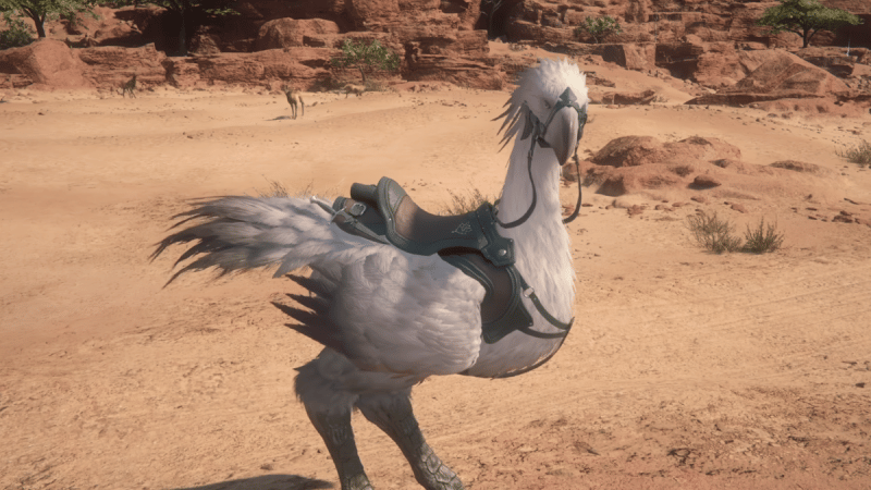 Les chocobos sont appelés « chevaux » dans la version japonaise de Final Fantasy XVI