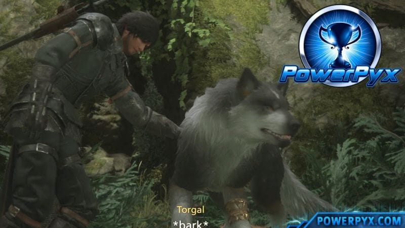 Final Fantasy XVI - You Can Pet the Dog Trophy Guide