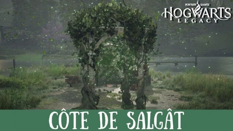 Épreuve de Merlin Hogwarts Legacy, Côte de Salgât : Comment résoudre toutes les énigmes de la région ?