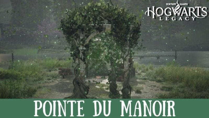 Épreuve de Merlin Hogwarts Legacy, Pointe du manoir : Comment résoudre toutes les énigmes de la région ?