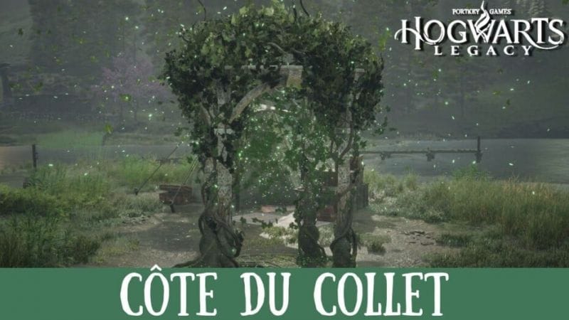 Épreuve de Merlin Hogwarts Legacy, Côte du Collet : Comment résoudre toutes les énigmes de la région ?