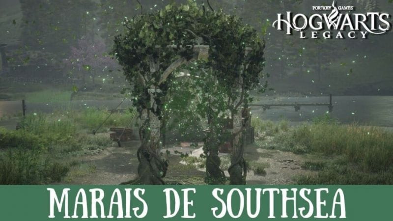 Épreuve de Merlin Hogwarts Legacy, Marais de Southsea : Comment résoudre toutes les énigmes de la région ?