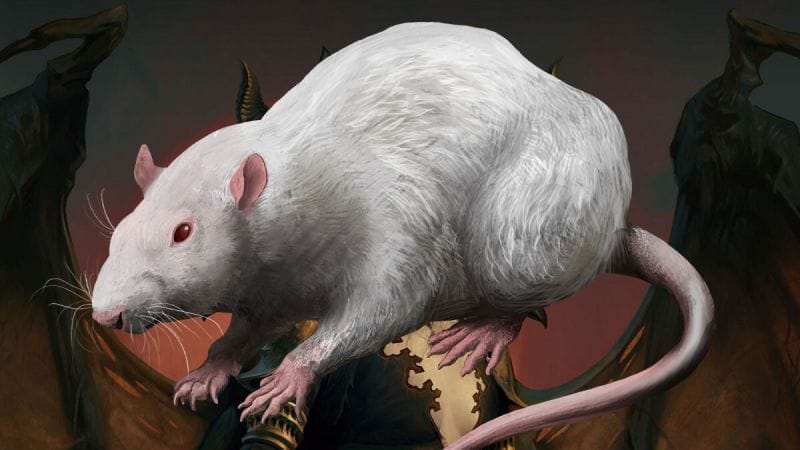 Diablo 4 : Suivre les rats donnerait plus de légendaires !