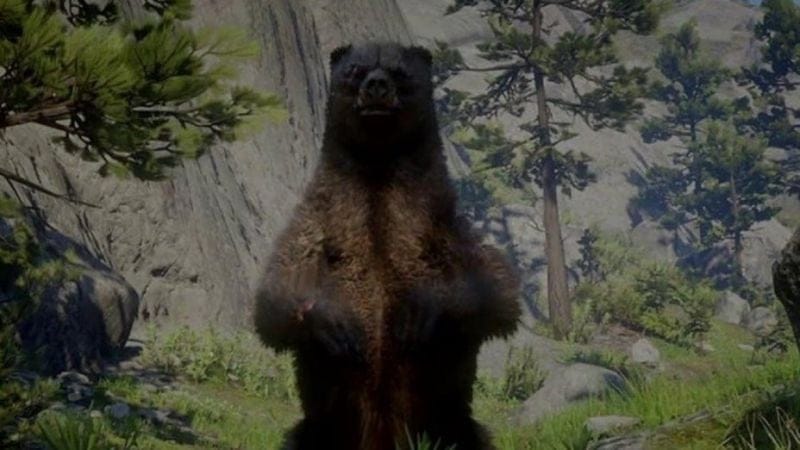 Red Dead Redemption 2 : Tout sur les animaux légendaires