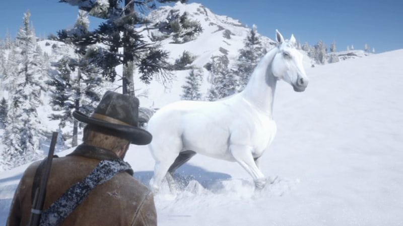 Red Dead Redemption 2 : Domptez le meilleur cheval