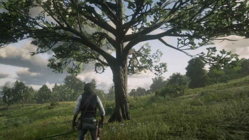 Red Dead Redemption 2 : Les 20 Attrape-rêves