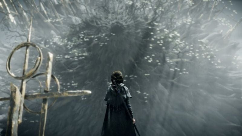 Guide des deux fins de Demon's Souls