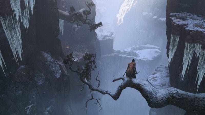 Sekiro Shadows Die Twice : La furtivité et les assassinats