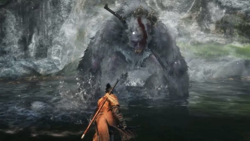 Guide Sekiro Shadows Die Twice : Le Singe gardien meurt deux fois aussi