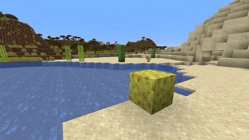 Comment obtenir des éponges dans Minecraft ? - Dexerto.fr