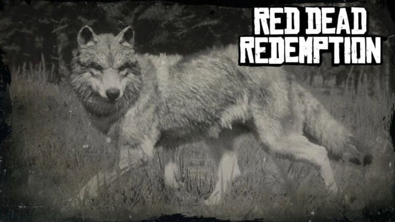 Défi Grand Chasseur Red Dead Redemption : Où trouver les animaux à abattre ?