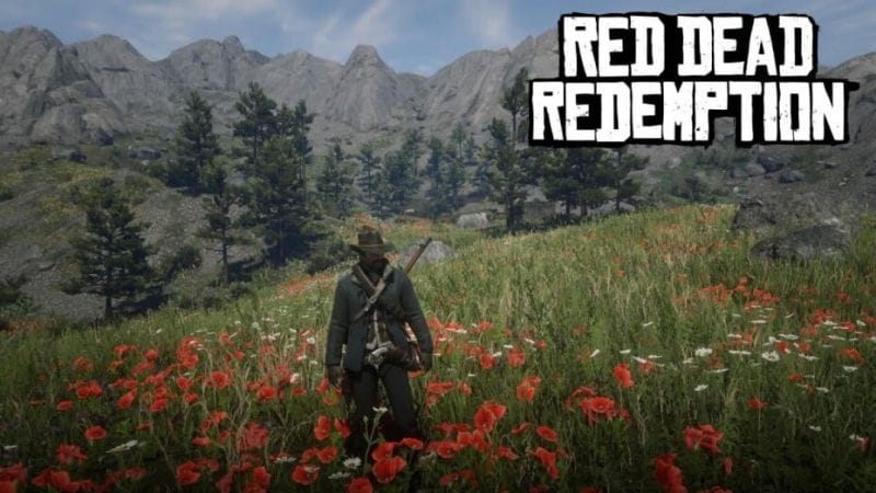 Défi Botaniste Red Dead Redemption : Où trouver toutes les fleurs sur la carte ?