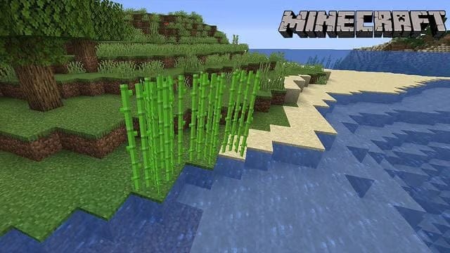 Comment planter des cannes à sucre dans Minecraft ? - Dexerto.fr