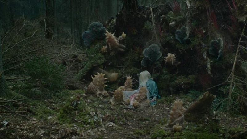 C'est un des meilleurs films sortis au cinéma l'année dernière, et pourtant personne n'est allé voir cette production dans les salles...