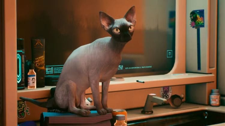 Nibbles, l’adorable chat de Cyberpunk 2077, est recherché pour meurtre - Dexerto.fr