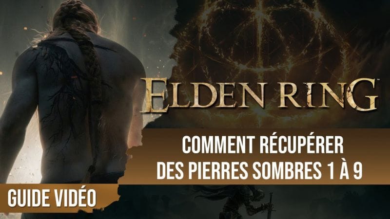 Guide avancé : Comment récupérer des pierres de forge sombre de niveau 1 à 9 - chapitrage dispo