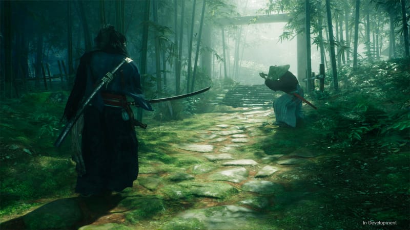 Rise of the ronin un vrai benger