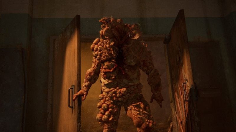 Des "champignons zombies" repérés en Ecosse, mais ne vous en faites pas, aucun apocalypse façon The Last of Us en vue