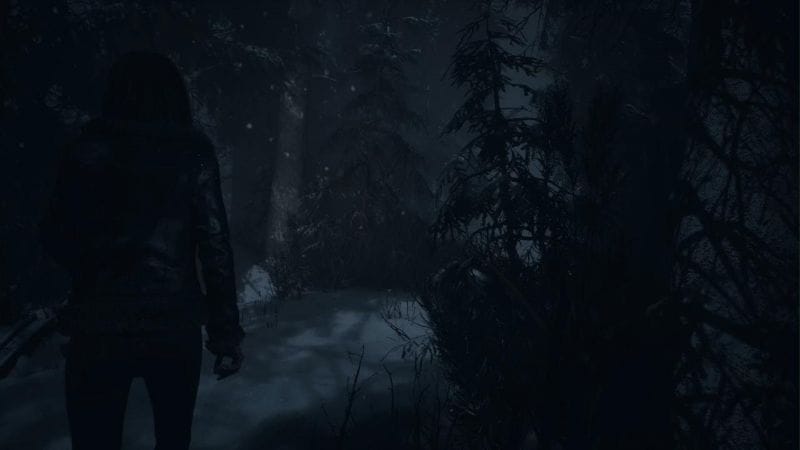 Until Dawn (PS5) - 3eme Totem du Danger