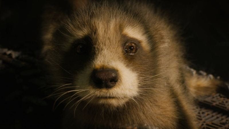 Disney+ : Films, séries, les sorties à ne pas manquer en octobre 2024