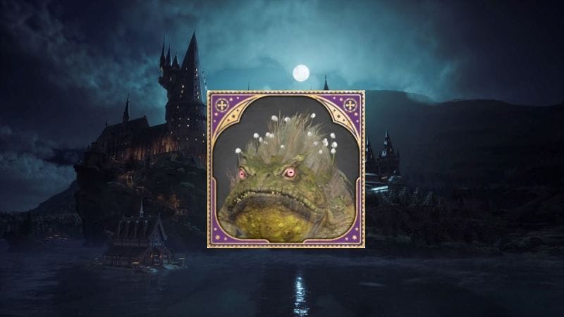 Hogwarts Legacy : Comment retourner un fangieux sur le dos ?