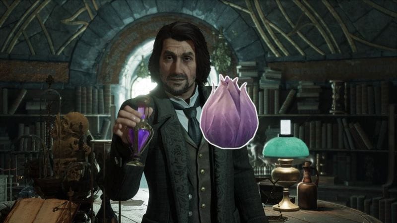 Fruit de figuier d'abyssinie Hogwarts Legacy : Comment faire pousser de la figue sèche ?
