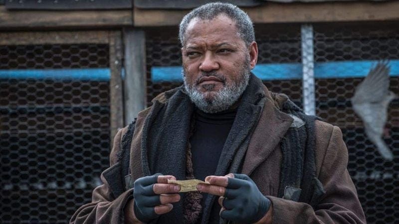 The Witcher : Laurence Fishburne (Matrix, John Wick) rejoint la saison 4 de la série dans le rôle de Regis