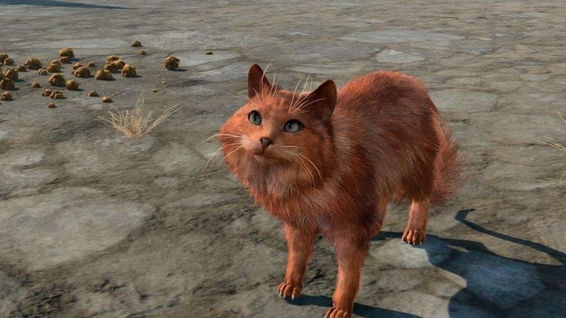 Un joueur a réussi à finir Baldur's Gate 3 uniquement sous forme de chat ! Et vous n'imaginez pas tous les stratagèmes qu'il a dû utiliser