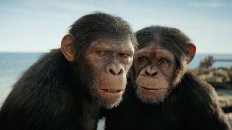 Le trailer de Kingdom of the Planet of the Apes donne un aperçu épique d'un nouveau monde divisé