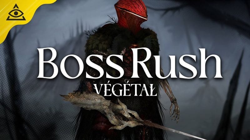 Perennial Order, Un BOSS RUSH inspiré d'Hollow Knight et Dark Souls, à surveiller !