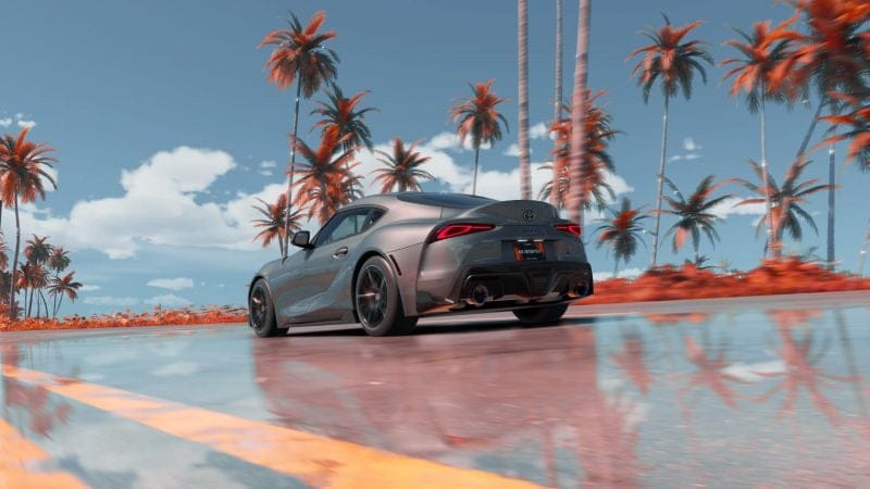 Photos In-game