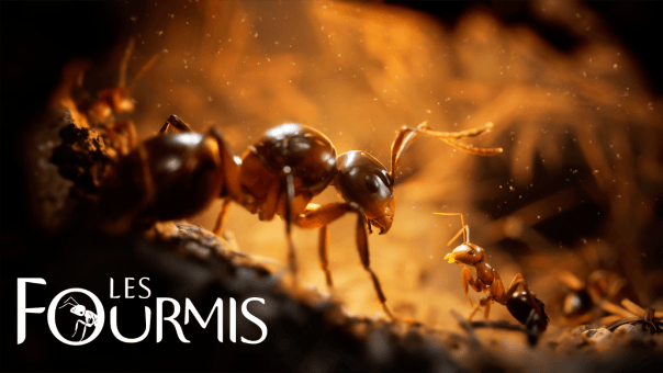 Les Fourmis - Découvrez une nouvelle bande-annonce du jeu vidéo basé sur l’œuvre de Bernard Werber - GEEKNPLAY Home, News, PC, PlayStation 5, Xbox Series X|S