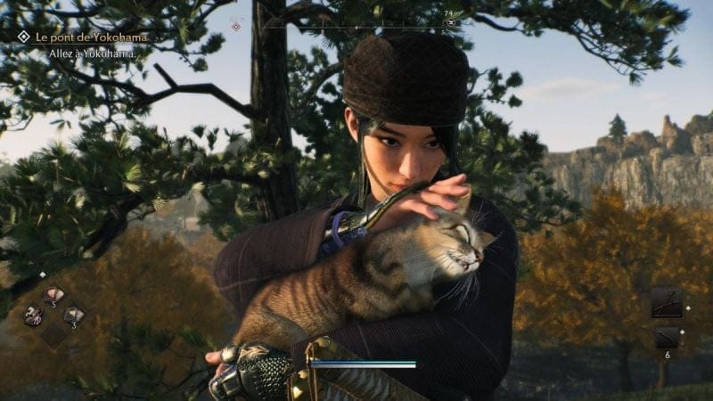 Chats Rise of the Ronin : Comment les attraper et à quoi servent-ils ?