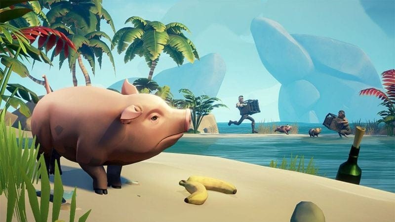 Animaux Sea of Thieves : Où tous les chasser, position, la liste complète - Guide Sea of Thieves - jeuxvideo.com