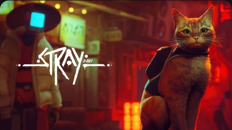 Promo Stray