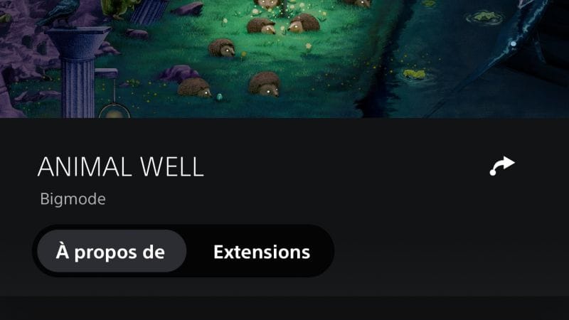 Animal well est de sortie !