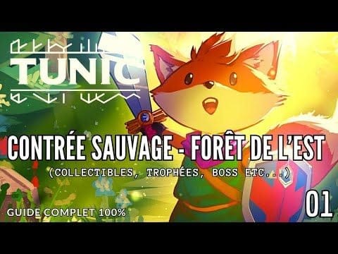 SOLUCE/GUIDE 100% SUR TUNIC 🦊