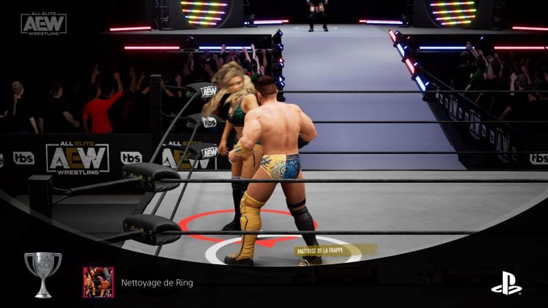 AEW - Trophées Nettoyage de Ring & Match de l'Année