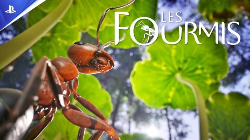 Les Fourmis - Trailer de la date de sortie - VF - 4K | PS5