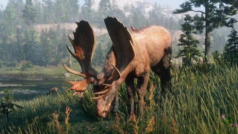 Orignal RDR2 : Où en trouver facilement sur la carte de Red Dead Redemption 2 ?