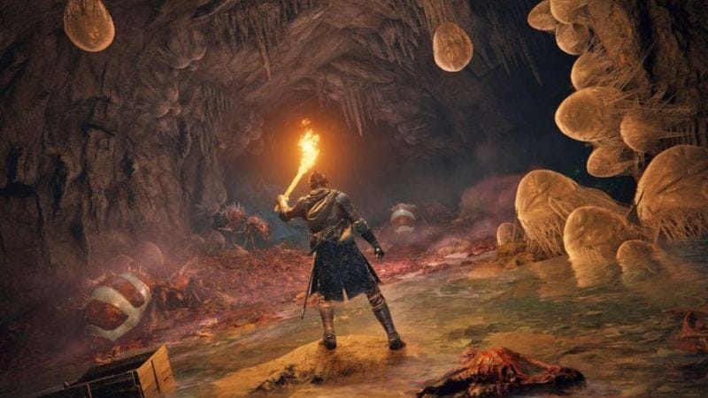 George R.R. Martin vient-il de confirmer qu'une adaptation de Elden Ring est en préparation ?