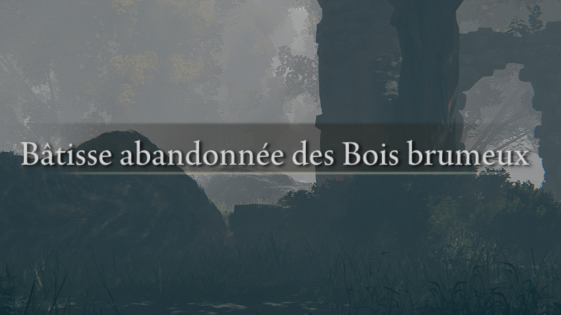 Bâtisse Abandonnée des Bois brumeux