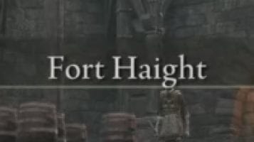 Fort Haight