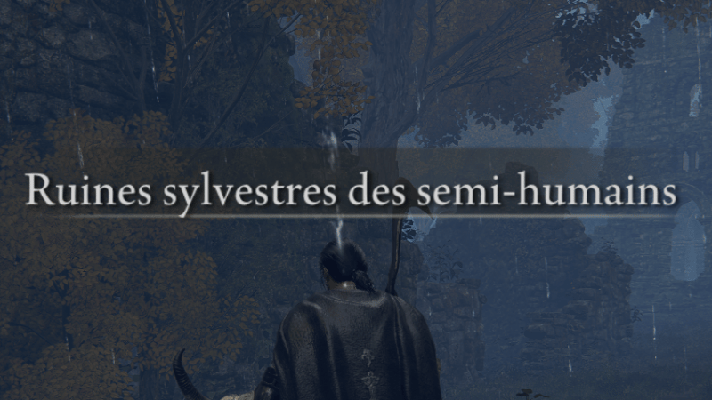 Ruines Sylvestres des Semi-Humains