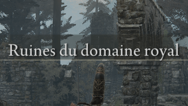 Ruines du Domaine Royal