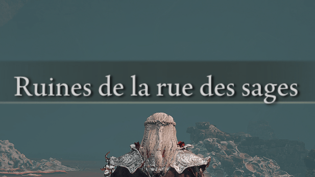 Ruines de la Rue des Sages