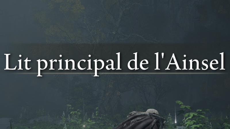 Lit Principal de l'Ainsel