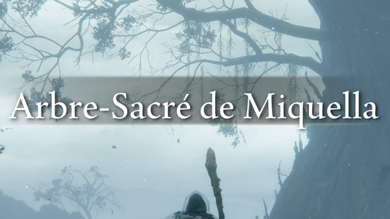 Arbre-Sacré de Miquella